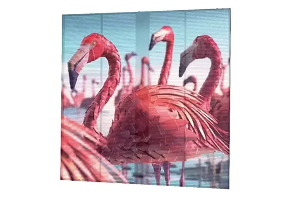 HD Full Color Display Feature Diagram