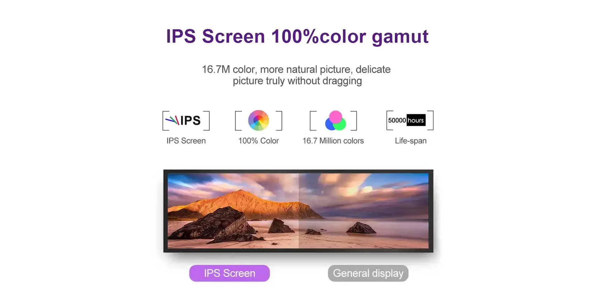 IPS Screen with 100% Color Gamut: Stunning Visuals Feature Diagram