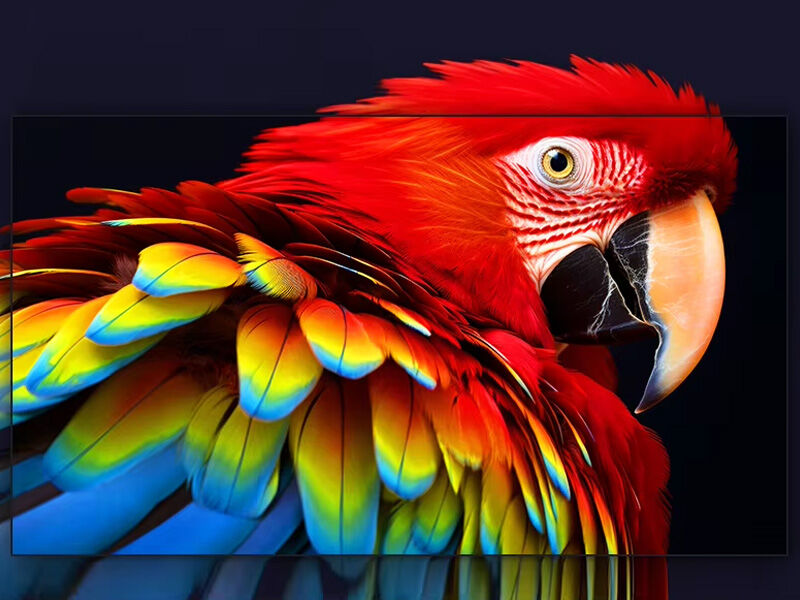 Indoor Small Pitch LED Screen Show The Beauty of Color and Vivid Details Performance View