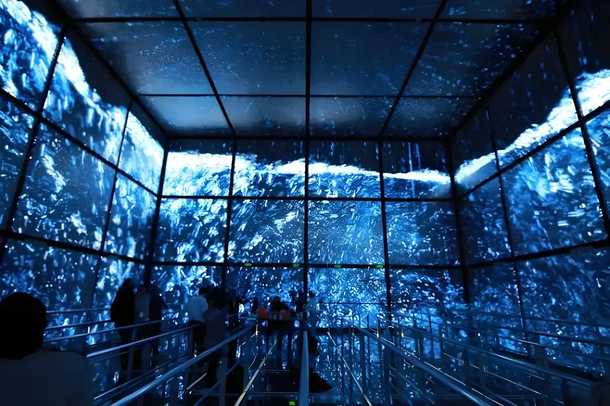 Immersive LED Experience Immersive LED Experience